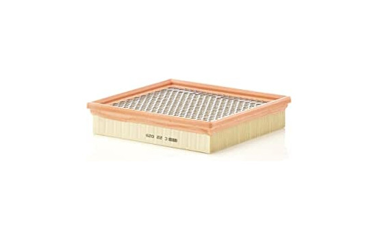 Air Filter C 22 029 MANN-FILTER