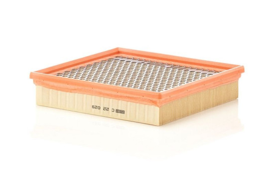 Air Filter C 22 029 MANN-FILTER, Image 2