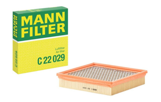 Air Filter C 22 029 MANN-FILTER, Image 4
