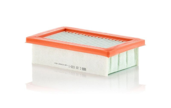 Air Filter C 22 033/1 Mann
