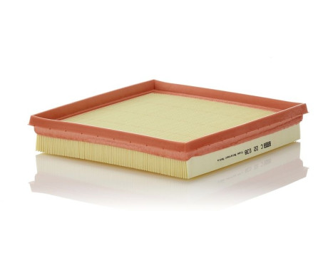 Air Filter C 22 038 Mann, Image 2