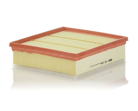 Air Filter C 22 039 Mann, Image 2