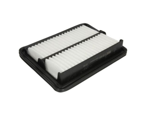 Air Filter C 22 060 Mann