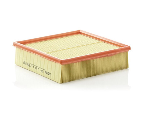 Air Filter C 22 117 Mann, Image 3