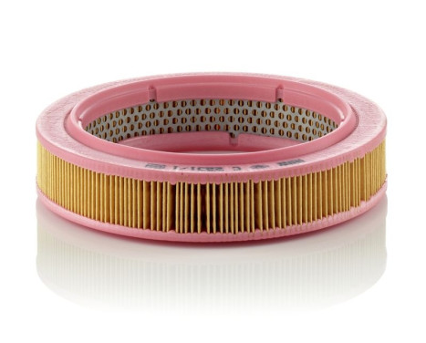 Air Filter C 2231/1 Mann, Image 2