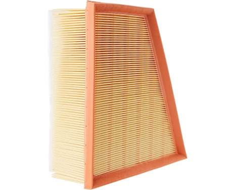 Air Filter C 2295/4 Mann