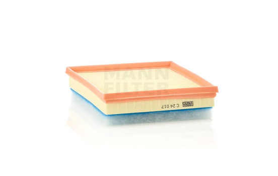 Air Filter C 24 017 MANN-FILTER, Image 2