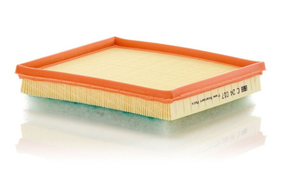 Air Filter C 24 017 MANN-FILTER, Image 3
