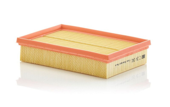 Air Filter C 24 041 MANN-FILTER, Image 2