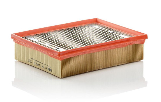Air Filter C 24 128/2 MANN-FILTER, Image 2