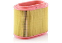 Air Filter C 24 196 Mann