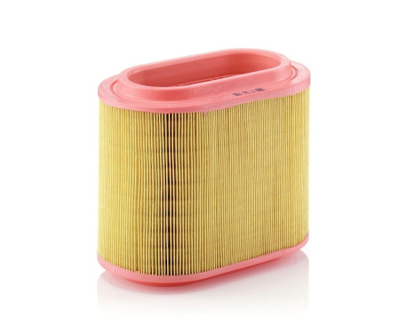 Air Filter C 24 196 Mann, Image 2