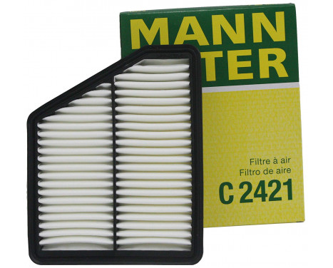 Air Filter C 2421 Mann