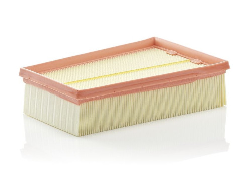 Air Filter C 2433/2 Mann, Image 3