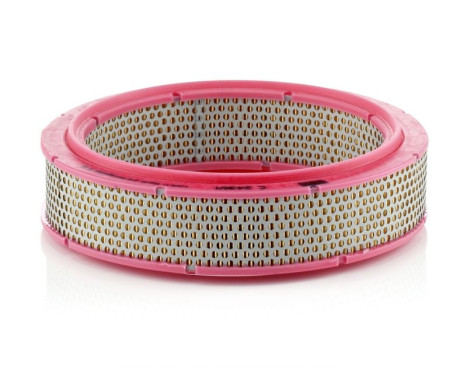 Air Filter C 2436/1 Mann, Image 2