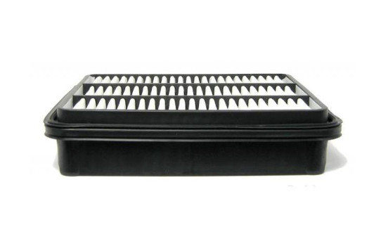 Air Filter C 2438 Mann