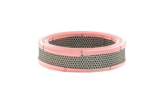 Air Filter C 2443 MANN-FILTER