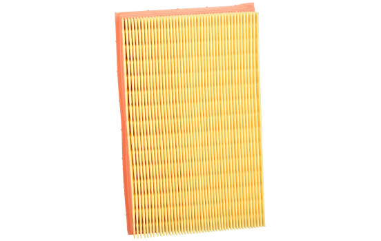 Air Filter C 2448 Mann