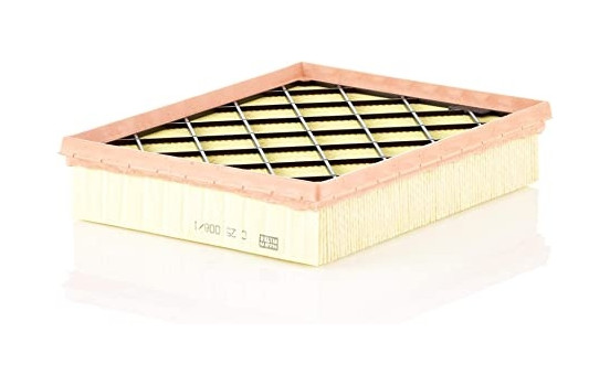 Air Filter C 25 008/1 Mann