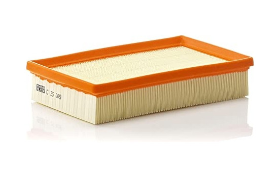 Air Filter C 25 009 MANN-FILTER