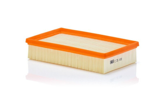 Air Filter C 25 009 MANN-FILTER, Image 2