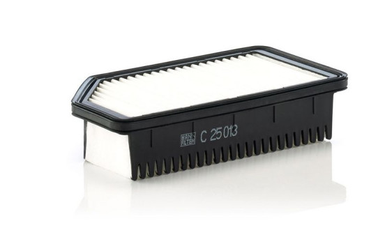 Air Filter C 25 013 MANN-FILTER, Image 2