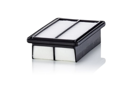 Air filter C 25 050 Mann