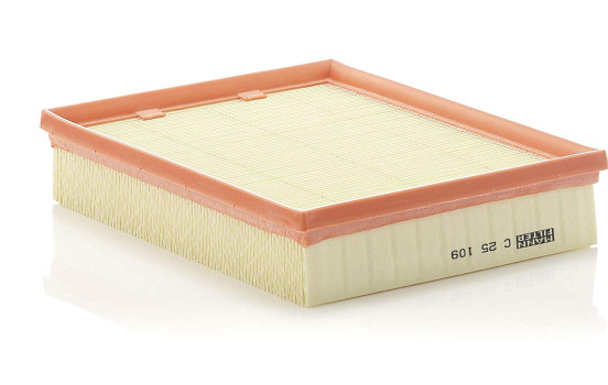 Air Filter C 25 109 Mann