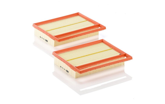 Air Filter C 25 110-2 MANN-FILTER, Image 2