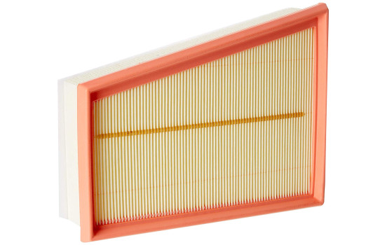 Air Filter C 25 115 Mann