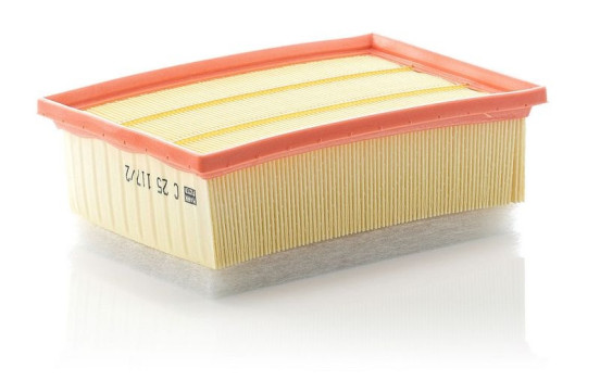 Air Filter C 25 117/2 MANN-FILTER, Image 2