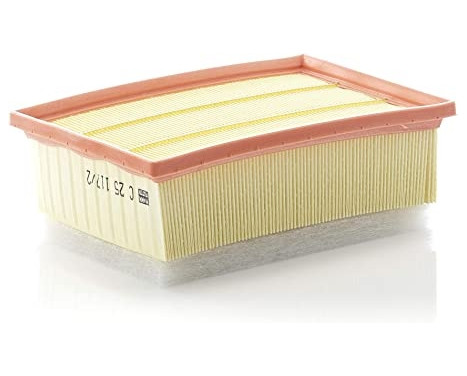 Air Filter C 25 117/2 Mann