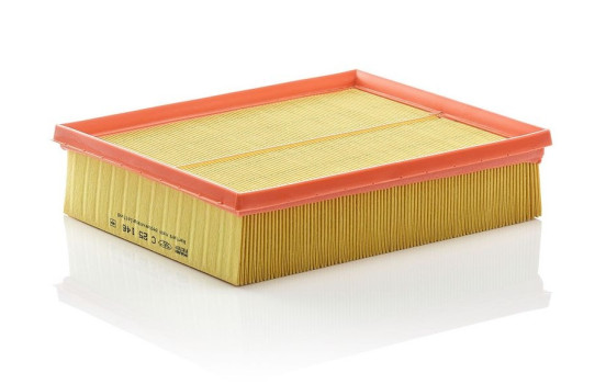 Air Filter C 25 146 MANN-FILTER, Image 2