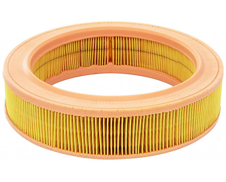 Air Filter C 2555/2 Mann