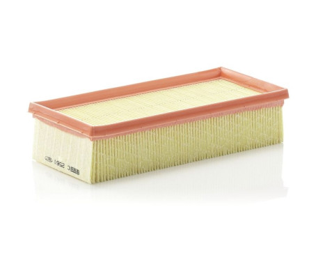 Air Filter C 2561 Mann, Image 2