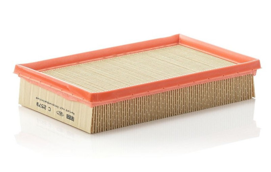 Air Filter C 2579 MANN-FILTER, Image 2