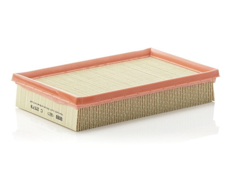 Air Filter C 2579 Mann, Image 2