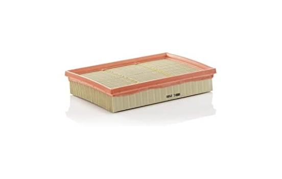 Air Filter C 2589 MANN-FILTER