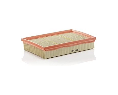 Air Filter C 2589 Mann