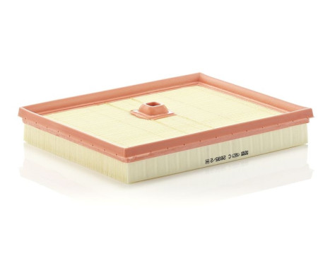 Air Filter C 2695/2 Mann, Image 2