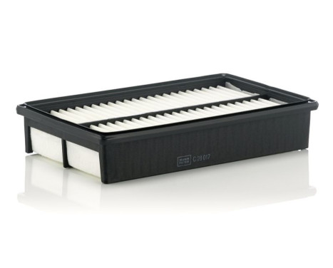 Air Filter C 28 017 Mann, Image 2