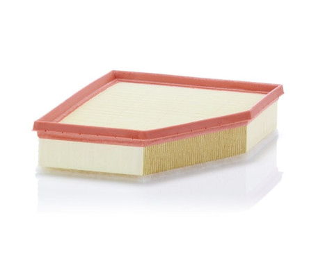Air Filter C 28 038 Mann, Image 2