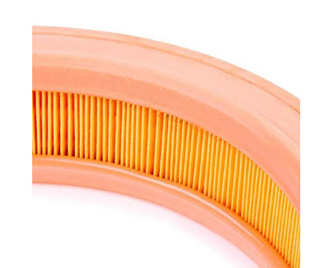 Air Filter C 2873/1 Mann, Image 3