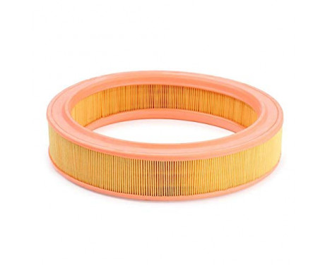Air Filter C 2873/1 Mann, Image 4