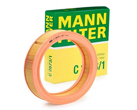 Air Filter C 2873/1 Mann