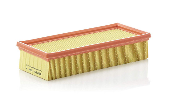 Air Filter C 2874 Mann
