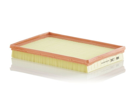 Air Filter C 2880 Mann, Image 2
