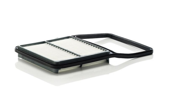 Air Filter C 29 002 MANN-FILTER, Image 2