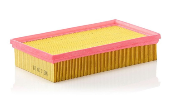 Air Filter C 29 121 MANN-FILTER, Image 2