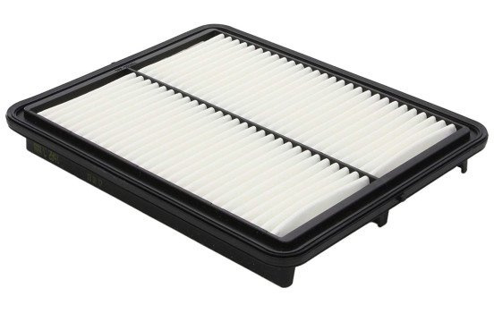 Air Filter C 2941 MANN-FILTER, Image 2